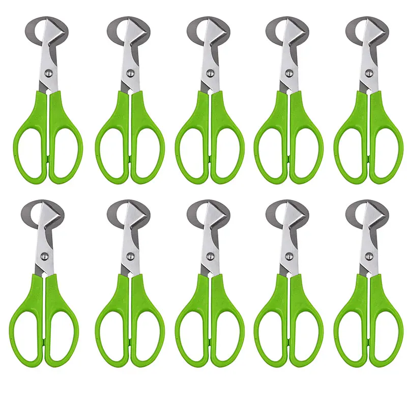 Ciseaux à œufs en inox 10 pièces pour couper les œufs de caille