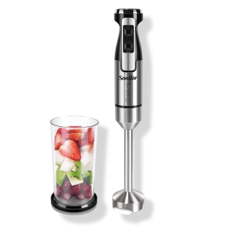 Mixeur Plongeant Professionnel (500W)