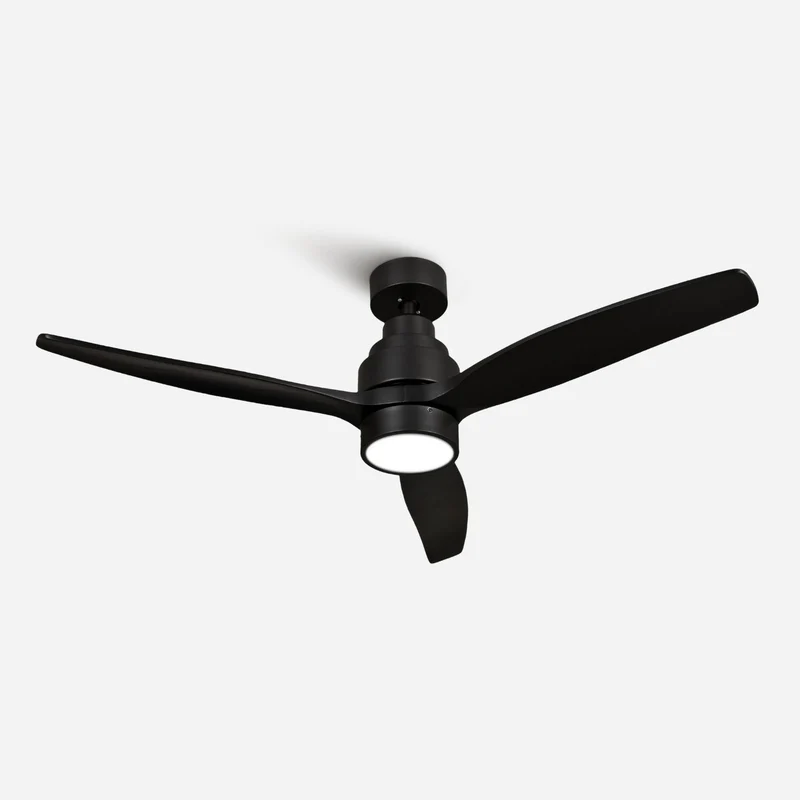Brizy Bright Black