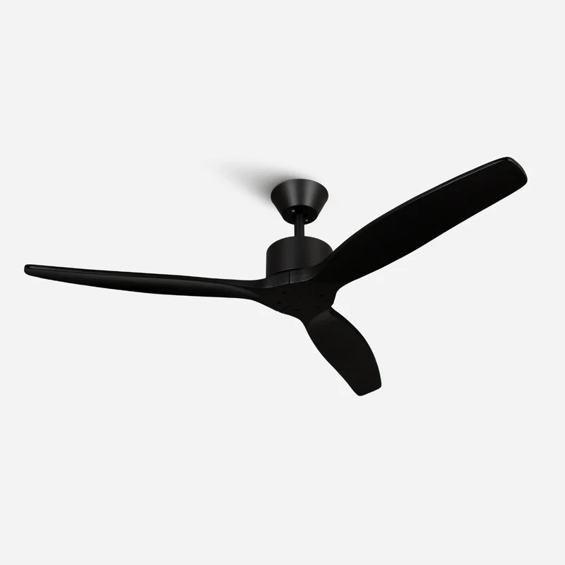 Brizy Black - FP