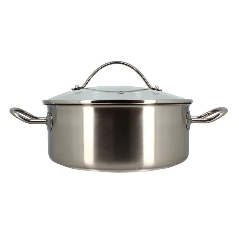 Marmite "Professionnel" 24cm en acier inoxydable avec couvercle en verre