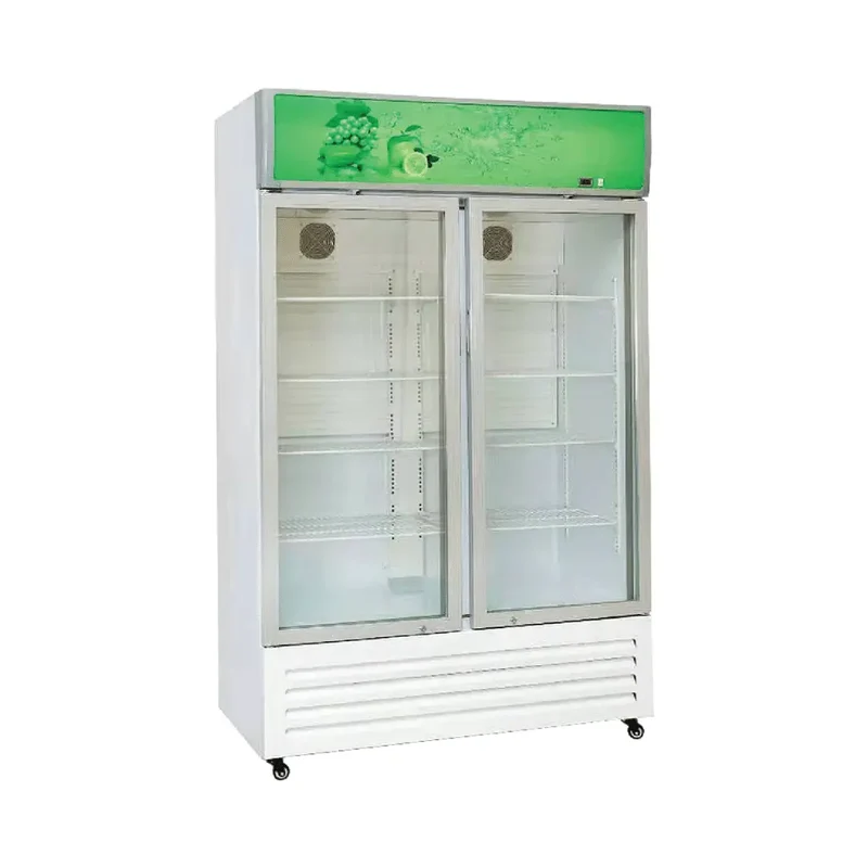 Armoire Réfrigérée 2 Portes Vitrées Battantes