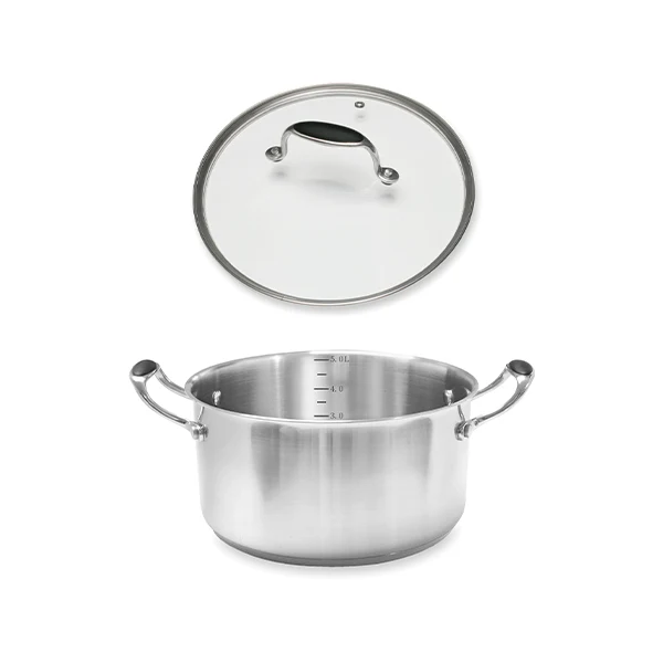 Lot faitout inox Excell’Inox 24 cm et couvercle en verre Mathon