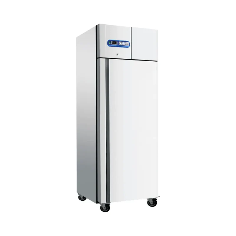 Armoires Réfrigérée PRESTIGE - Avec 1 Porte Pleine- 550 L- positive