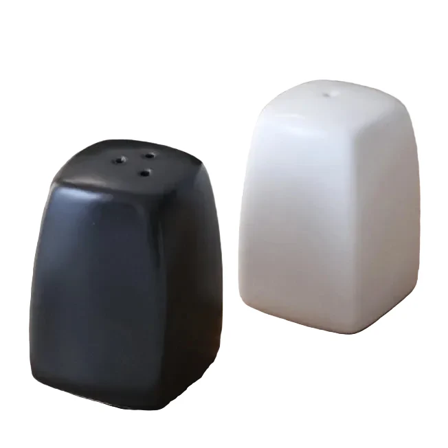 Salière et Poivrière en Céramique Noir et Blanc
