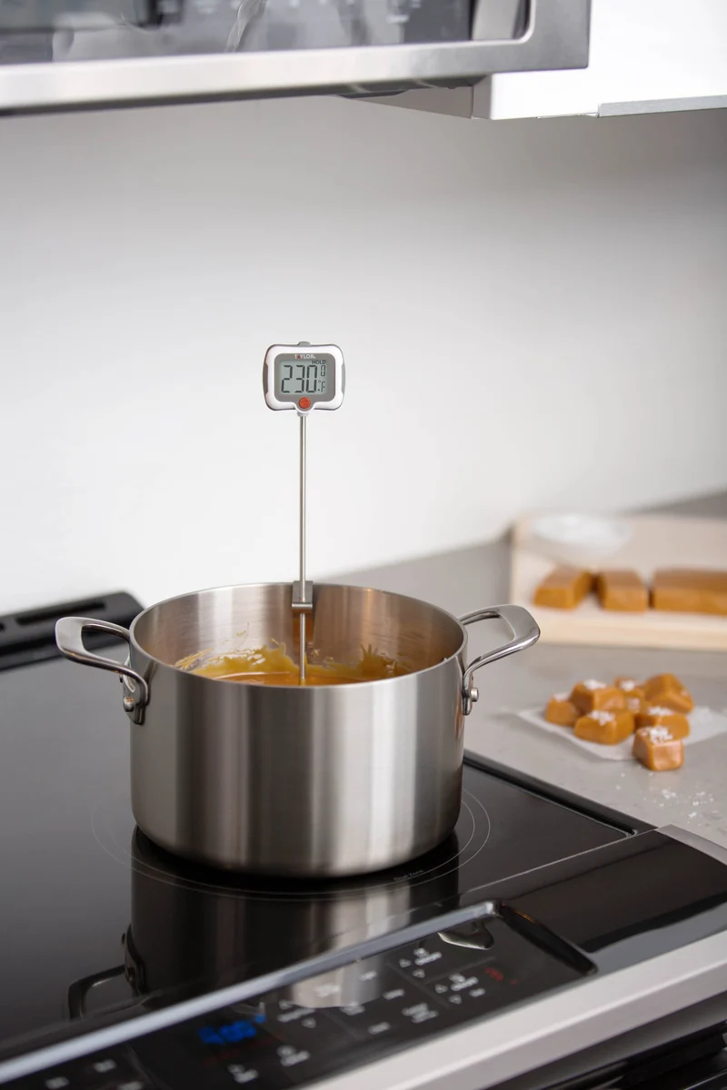 Taylor Pivoting Display Digital Thermometer